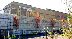 lynnwood place block project